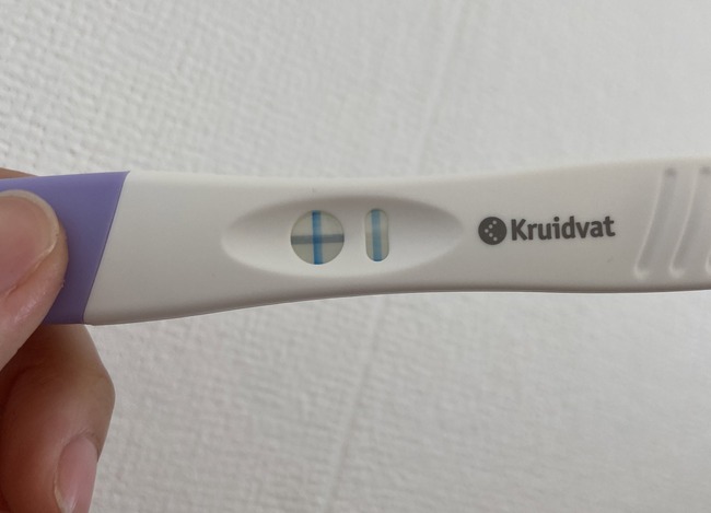 女性 結婚 子供 諦念 断念 オランダ 留学 妊娠に関連した画像-02