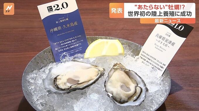 ���ڡ������륹���ܿ��˴�Ϣ��������-01