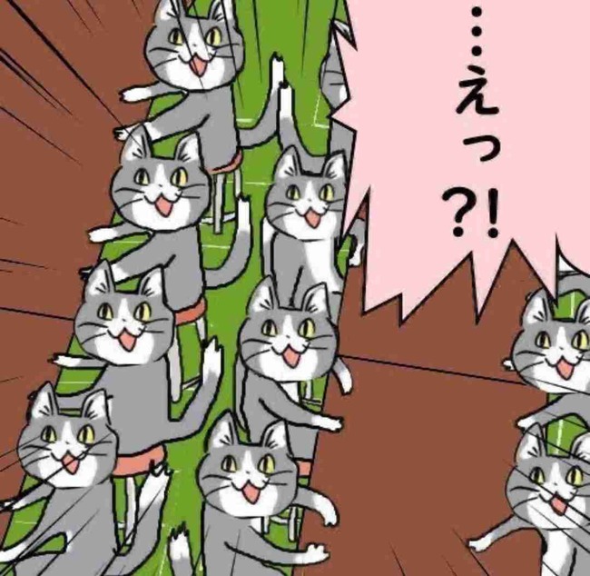 Matt ��ž�ȵ��� ��̿� ̵�ù� �׷�˴�Ϣ��������-04