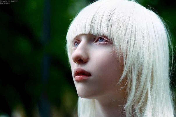 まるで「エルフの女王」 突然変異によって生まれた美しすぎるアルビノの女の子 : オレ的ゲーム速報＠刃