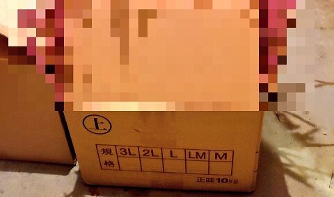 ジャガイモ　芽　毒　ソラニン　放置　発芽　クリーチャーに関連した画像-01