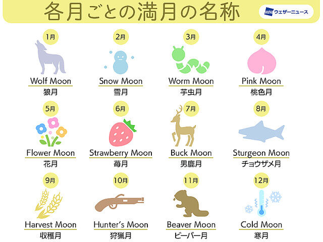 ���ȥ��٥꡼�ࡼ��Ⱦ�Ʒ������˴�Ϣ��������-04