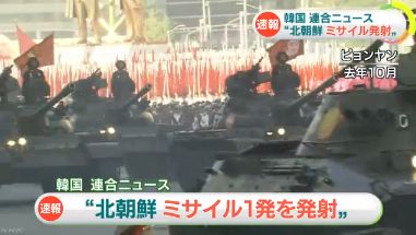 ��ī�������ܳ����ߥ����롡��ƻ�ߥ�����˴�Ϣ��������-01