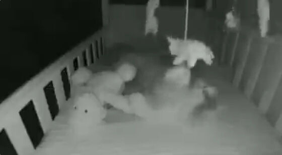 �Ҷ��������֤���󡡥٥ӡ���˥������������á����Ρ�ǭ�˴�Ϣ��������-02