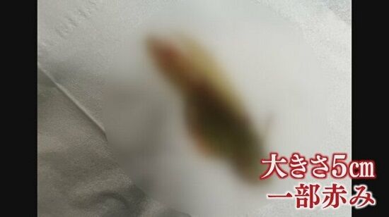 キムチ　バッタ　混入　こくうま　長ネギ　東海漬物　愛知　タンパク質に関連した画像-01