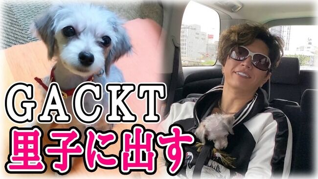 GACKT　愛犬譲渡　炎上　反論に関連した画像-01