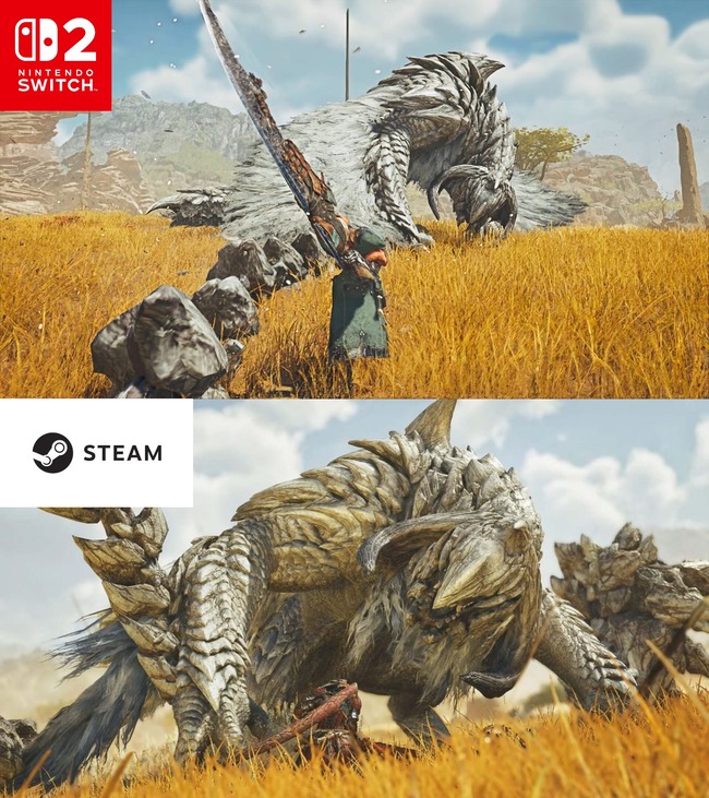 モンハン ワイルズ モンスターハンター 任天堂 Switch 容量 グラフィック 画質に関連した画像-04
