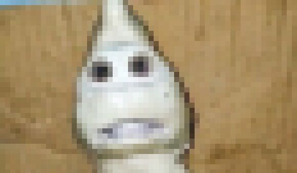 インドネシア サメ 人面ザメ 単眼症 突然変異に関連した画像-01