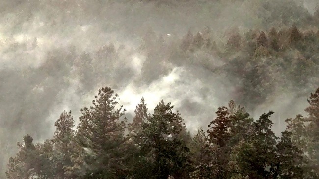 花粉 花粉症 飛散 飛散量 スギ花粉 大量 グラフに関連した画像-05