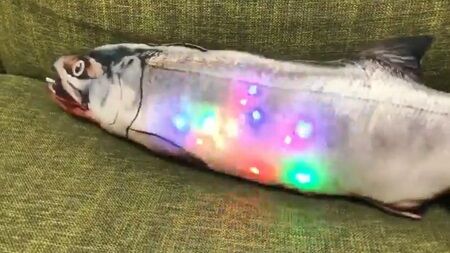 すいラボ おすし雑貨研究所、松 ゲーミング活魚 LED 工作に関連した画像-01