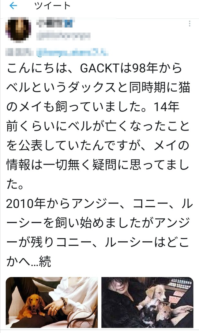GACKT 犬 譲渡 炎上に関連した画像-03