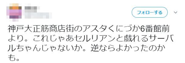 けものフレンズ 神戸 張りぼて 展示 サーバル セルリアン 位置 逆に関連した画像-03