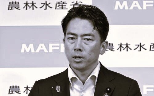 小泉進次郎　総裁選　ステマ　高市早苗　党員　離党　文春　炎上に関連した画像-01