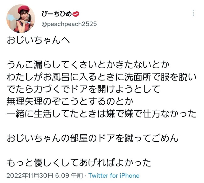 TikTok������������󡡤ԡ����Ҥᡡ���ܡ��������⤳���˴�Ϣ��������-02