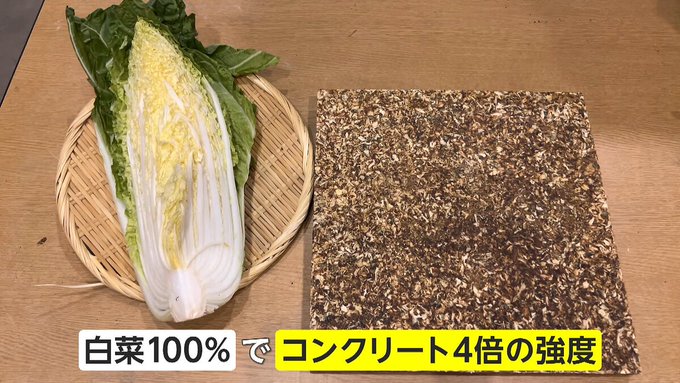 コンクリート 食べられる 強度 食品廃棄物 白菜 東京大学生産技術研究所に関連した画像-02