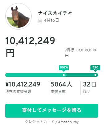 ナイスネイチャの誕生日に合わせて引退馬支援の寄付を実施 例年を大きく上回る額が集まる オレ的ゲーム速報 刃