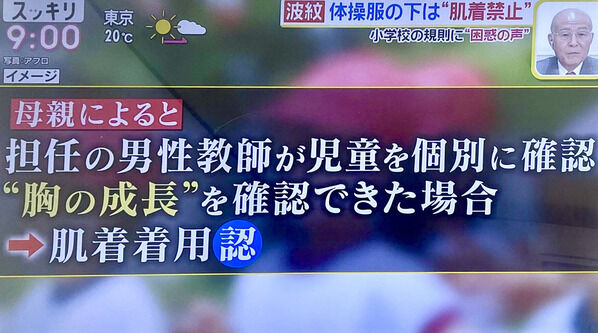 小学校 女子生徒 下着 肌着 禁止 セクハラ 性犯罪 ロリコン教師に関連した画像-05