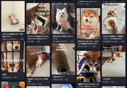 ��񡡼Ƹ����������ǿ�������ᡡdouyin��Tiktok�˴�Ϣ��������-03