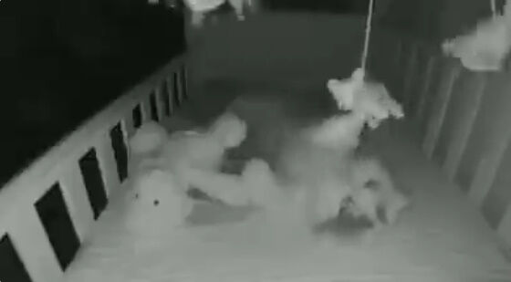 �Ҷ��������֤���󡡥٥ӡ���˥������������á����Ρ�ǭ�˴�Ϣ��������-02