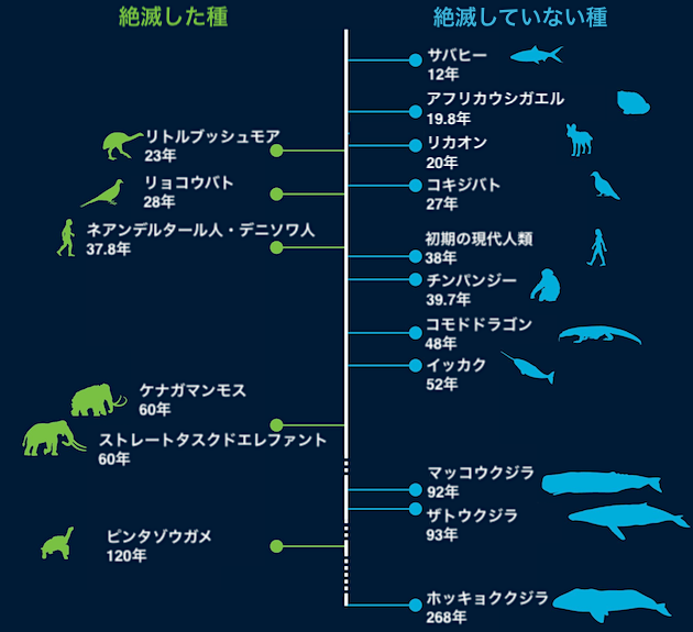 人間 DNA 寿命 38年 ゲノムに関連した画像-03
