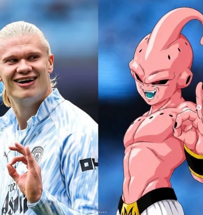 ハーランド W杯 ワールドカップ ノルウェー 魔人ブウ 似てる に関連した画像-03