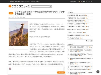 カンガルーに続き 超マッチョなキリンが激写される 気持ち悪すぎだろｗｗｗｗｗｗｗｗ オレ的ゲーム速報 刃