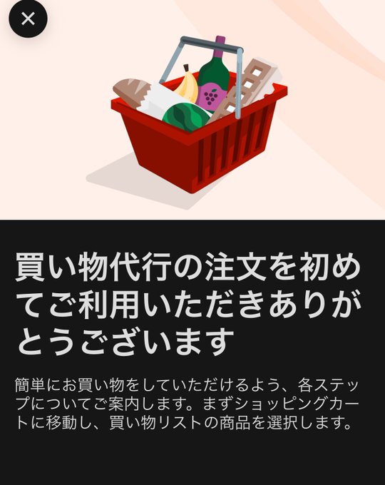 �����С������ġ��㤤ʪ��ԡ��塡���̡������ѡ�������ӥˤ˴�Ϣ��������-02