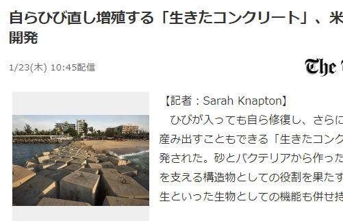 コンクリート 増殖に関連した画像-02