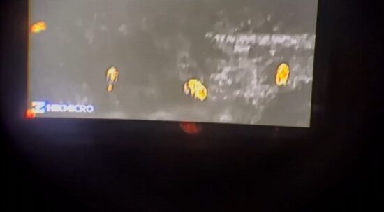 ���㡼�ʥꥹ�� ���� ��ƦȪ �����⥰��ե��� ���Υ��� ���� �����˴�Ϣ��������-03