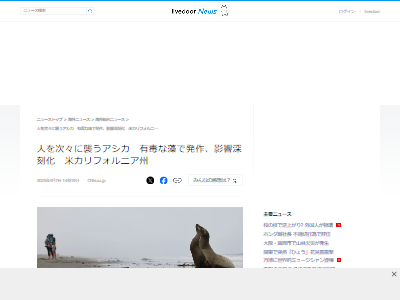 �������������ǡ���������������ե���˥��˴�Ϣ��������-02