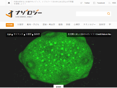 ヤバイ 人工の 脳 を培養することに成功 人間はついに神の領域まできたのか オレ的ゲーム速報 刃 ヤバイ 人工の 脳 を培養することに成功 人間はついに神の領域まできたのか オレ的ゲーム速報 刃