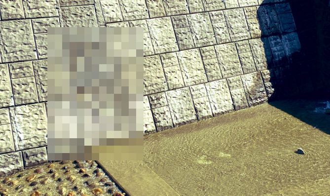 散歩 ゼルダの伝説 隠し入口 みたいな壁 爆弾に関連した画像-01
