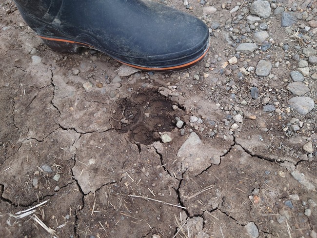 � ϵ�� �ȿ�Ū ���� ���� ���ݤ˴�Ϣ��������-02