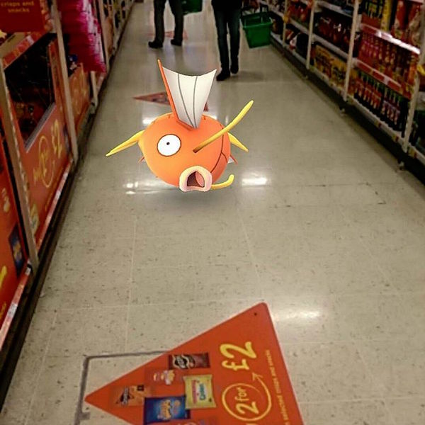 ポケモンGO 生息地 コイキングに関連した画像-07