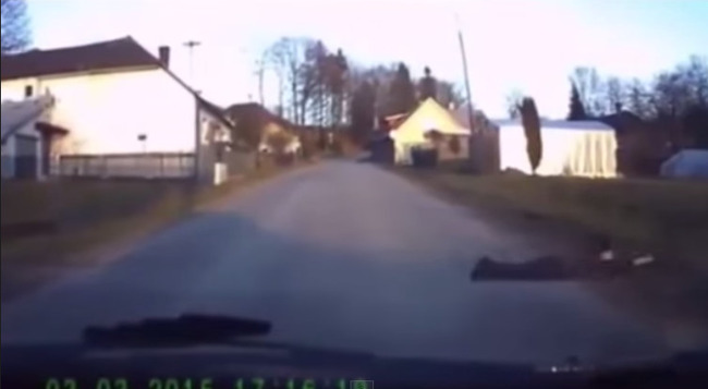 犬 動画に関連した画像-10