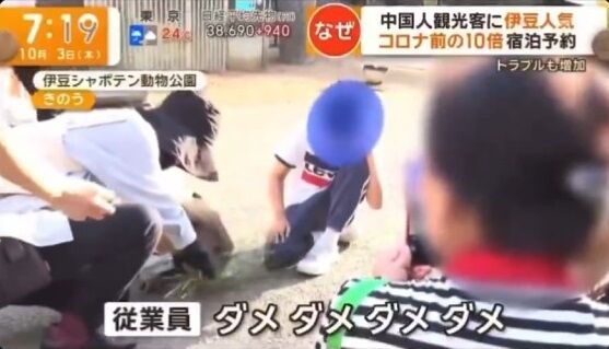 中国人観光客 カピバラ 洗濯バサミ 餌付けに関連した画像-01