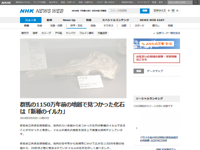 群馬県 新種のイルカ 化石に関連した画像-02