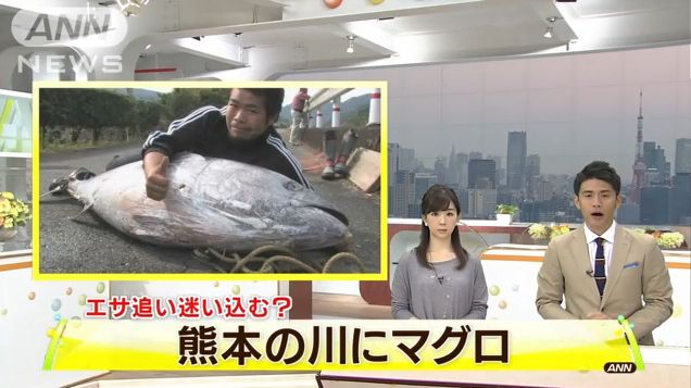 ���ܸ����ޥ����˴�Ϣ��������-01