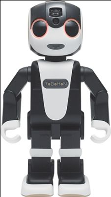 ���㡼�ס����ܥåȡ����ܥۥ���­��ԡ��������á����ޡ��ȥե��󡡥ץ����������������󥹡�����ǧ���������ʤ˴�Ϣ��������-04