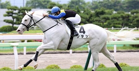 ソダシ 競馬 桜花賞 ゴールドシップ ゴルシ 白毛に関連した画像-01