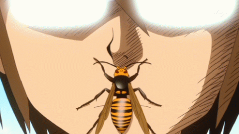 蜂　有害　見分け方　くびれ　被害に関連した画像-01