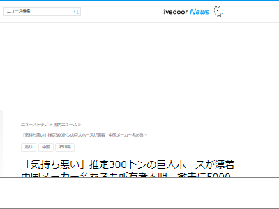 中国 巨大 ホース 漂着 撤去費用 石川県 物体 補助金に関連した画像-02