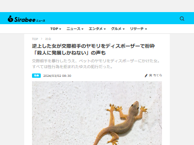 彼女 性行為 誘い 彼氏 断る 逆上 ブチギレ ヤモリ ディスポーザー 粉砕に関連した画像-02