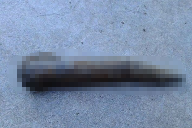 直腸 第一次世界大戦 １９１８年製 砲弾 爆発物処理班 に関連した画像-01