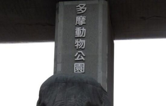 be7e6d41.jpg