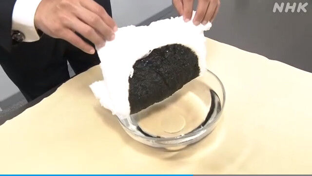 モーリシャス 座礁 吸着材に関連した画像-05
