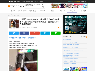 ϻ���ڤΥ���о�������ס��ɥ롡­��ؤ��ޤ롡���ԡ�ưʪ�������Τ˴�Ϣ��������-02