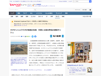 北海道 太陽光発電 ソーラーパネル 釧路湿原 絶滅 キタサンショウウオに関連した画像-02