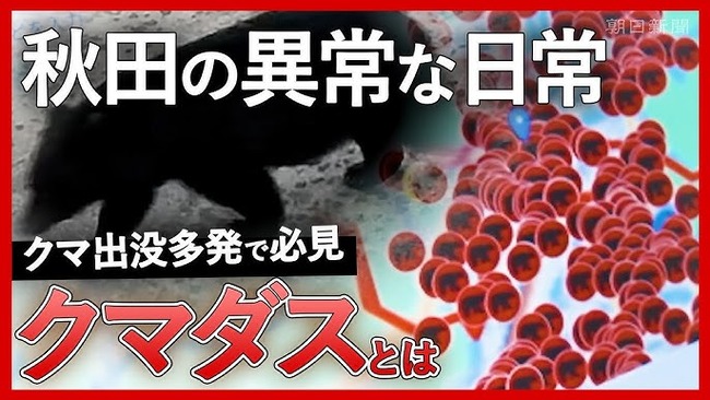 秋田駅 周辺 過疎 ゴーストタウン クマに関連した画像-01
