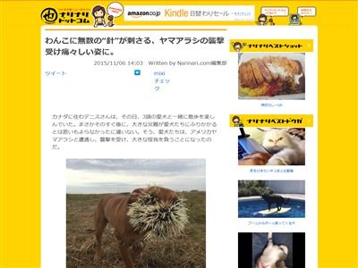 閲覧注意 ヤマアラシの攻撃にあった3匹の犬 無数のトゲが刺さり痛々しい姿となる オレ的ゲーム速報 刃 閲覧注意 ヤマアラシの攻撃にあった3匹の犬 無数のトゲが刺さり痛々しい姿となる オレ的ゲーム速報 刃